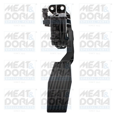 Accelerator Pedal Unit